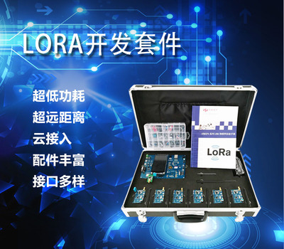 LORA.jpg